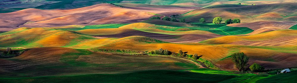 The Palouse art print by Hua Zhu for $57.95 CAD
