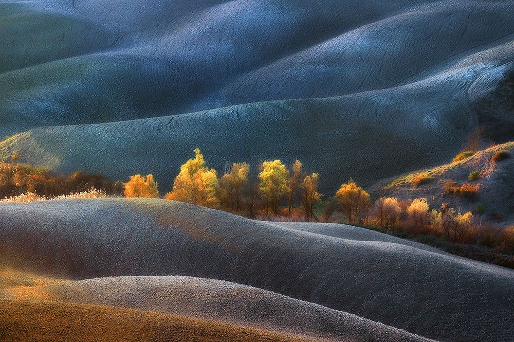 Dreamland art print by Jure Kravanja for $57.95 CAD