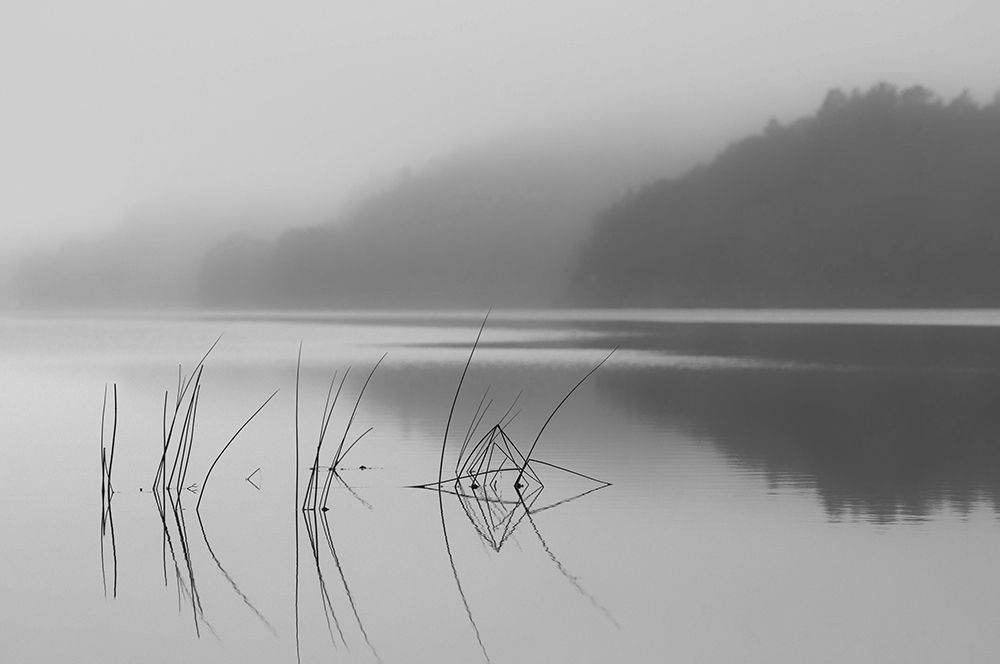 When You Can Hear The Silence art print by Benny Pettersson for $57.95 CAD