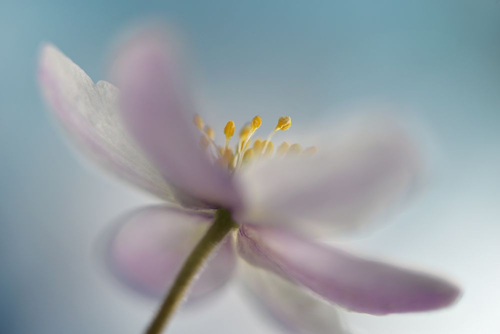 Against The Sky art print by Heidi Westum for $57.95 CAD