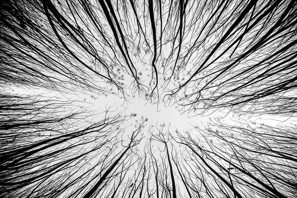 Up To The Sky art print by Denisvesely for $57.95 CAD