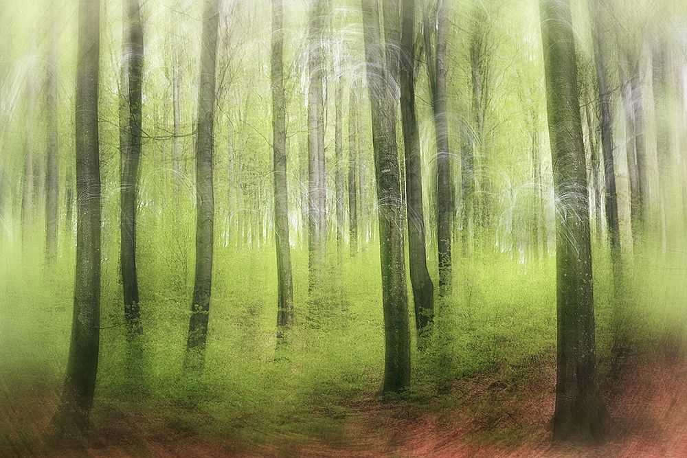 Spring Impression art print by Gustav Davidsson for $57.95 CAD