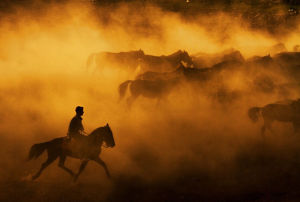 cowboy art print by Feyzullah Tunc for $57.95 CAD