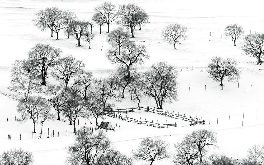 Bashang Winter art print by Hua Zhu for $57.95 CAD