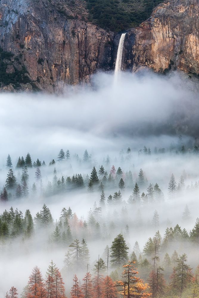 Mist Falls art print by Brandon Yoshizawa for $57.95 CAD