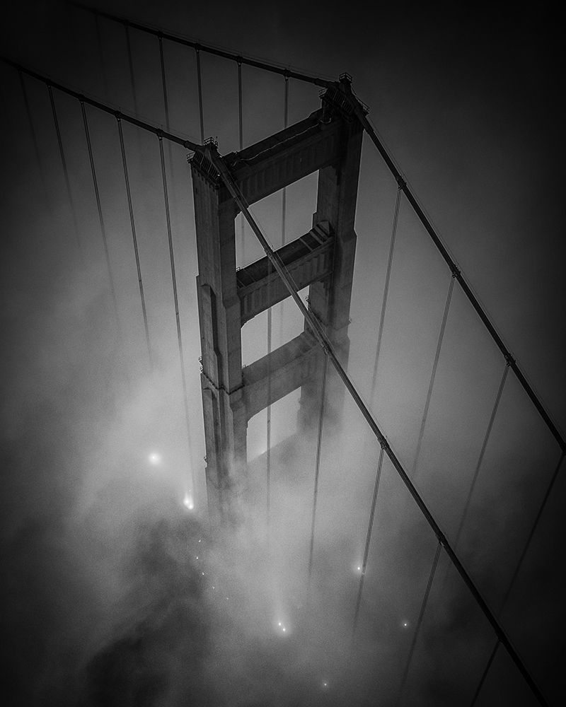 Golden Black art print by Toby Harriman for $57.95 CAD