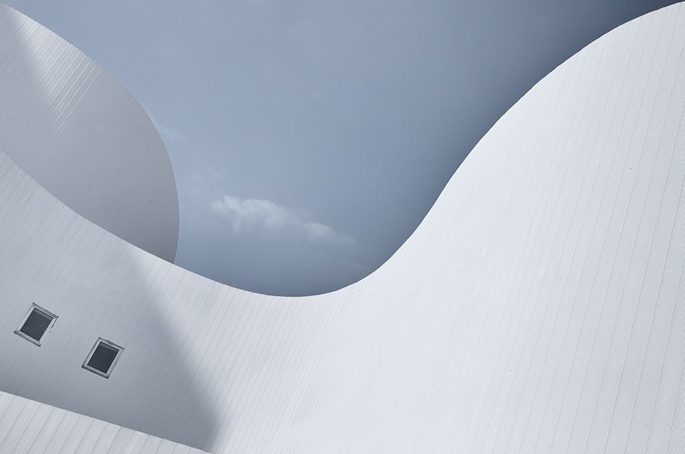 Graceful art print by Jeroen van de for $57.95 CAD
