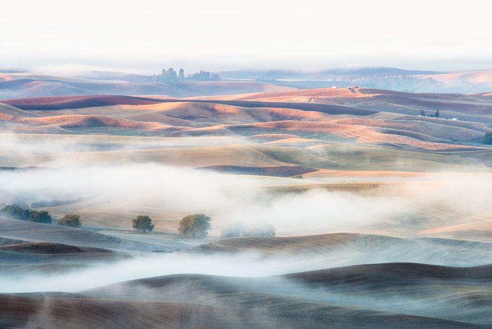 Misty Morning art print by Thien Nguyen for $57.95 CAD