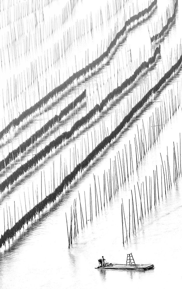 Out  of line art print by Handi Nugraha for $57.95 CAD