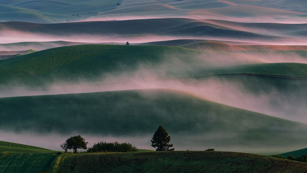 Misty Field art print by Austin for $57.95 CAD