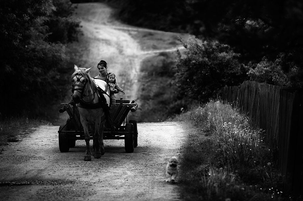 Countryside life art print by Julien Oncete for $57.95 CAD