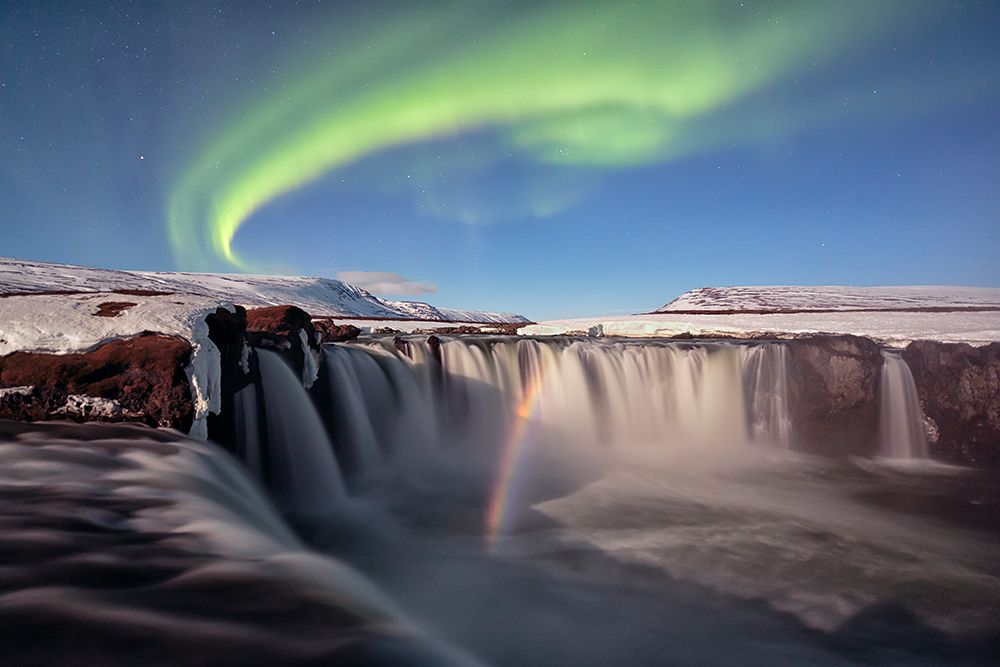 The Astonishing art print by Mauro Tronto for $57.95 CAD