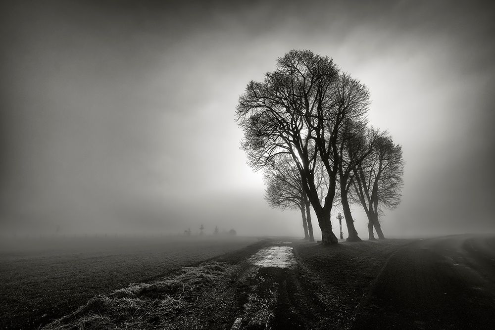 Fog art print by Arnaud Maupetit for $57.95 CAD