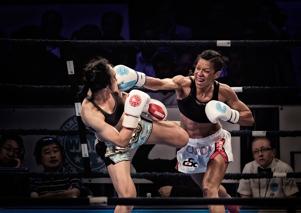 Fighters art print by Henry Zhao for $57.95 CAD