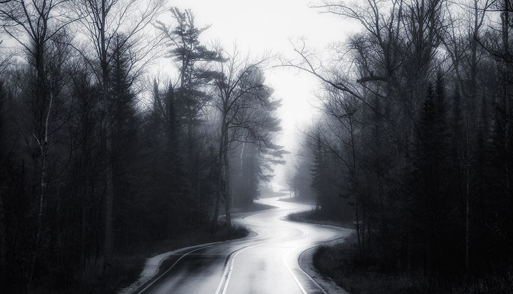 Slalom art print by David Rothstein for $57.95 CAD
