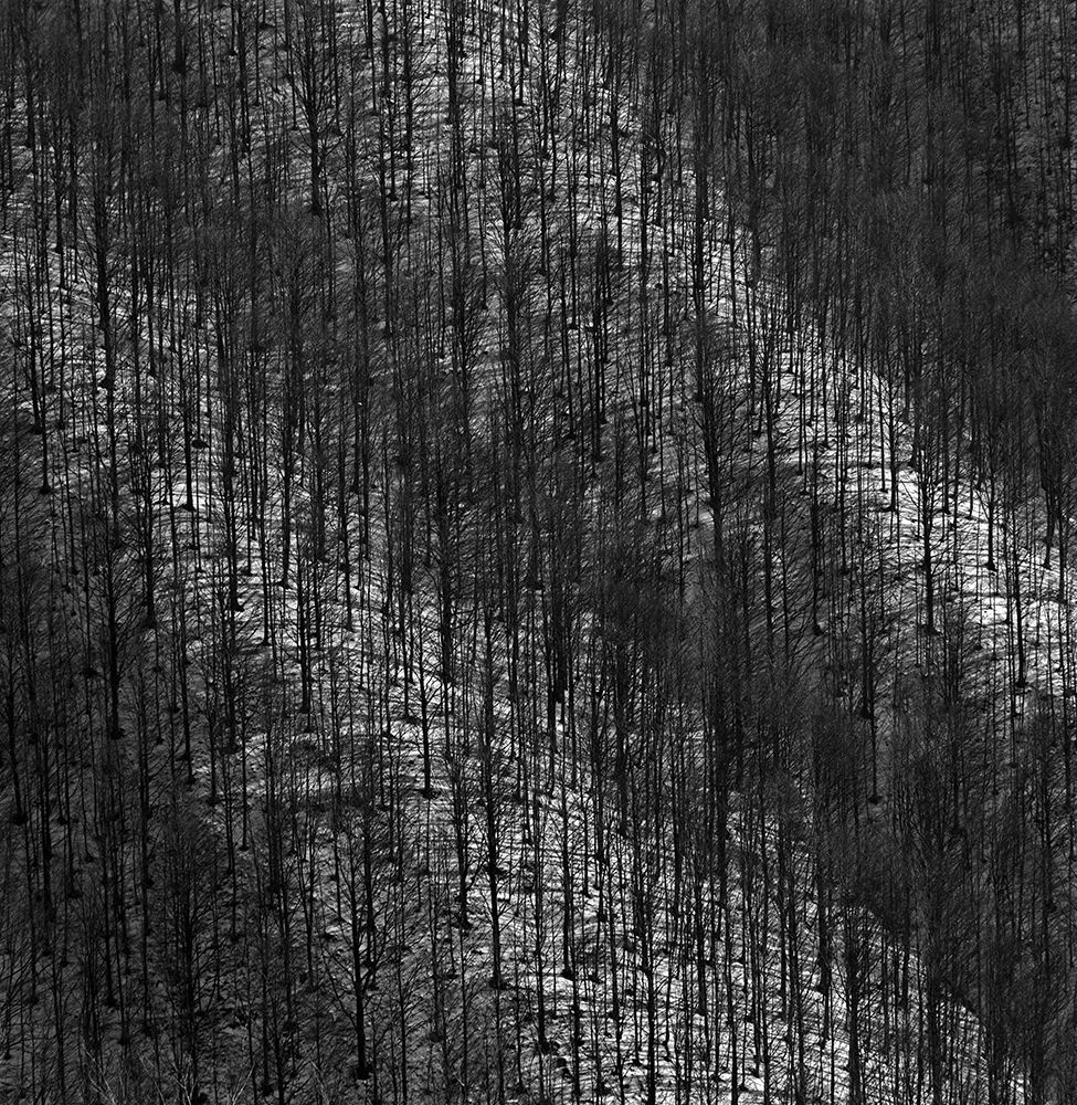 LUCI E OMBRE art print by Vinicio Triglia for $57.95 CAD