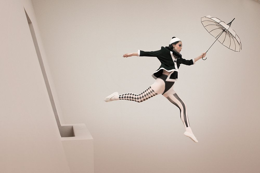 The Jump art print by Christine von Diepenbroek for $57.95 CAD