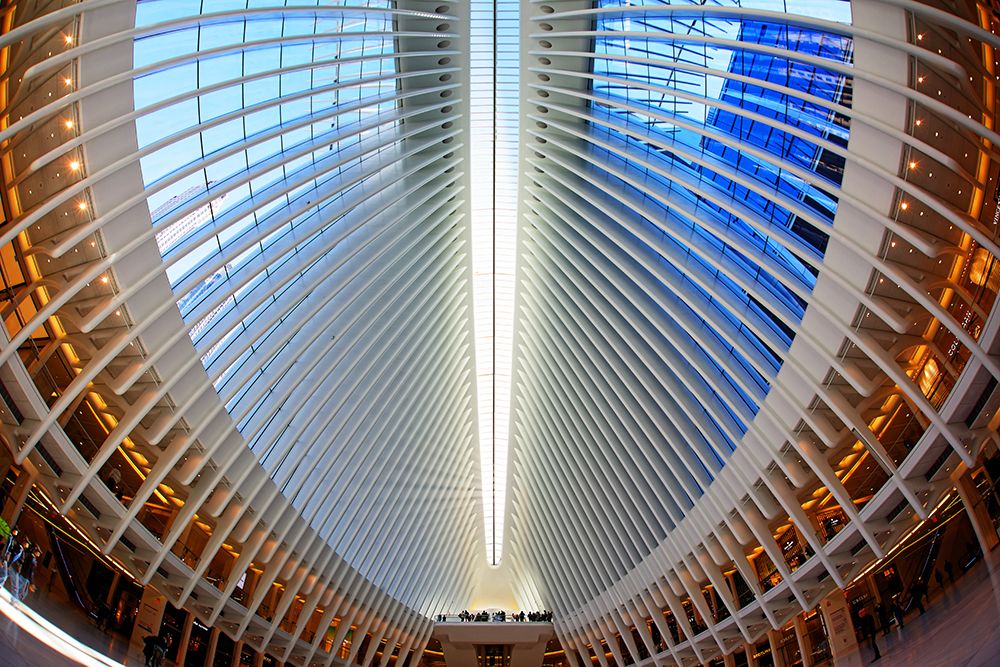 Oculus art print by Martin Fleckenstein for $57.95 CAD