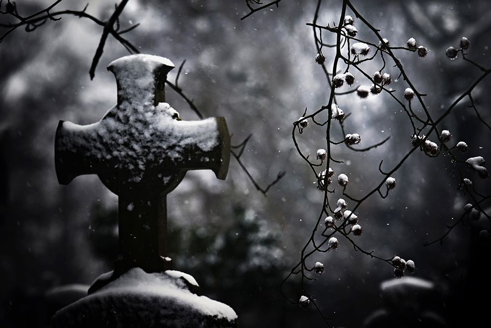 Frozen Memories art print by Piet Flour for $57.95 CAD