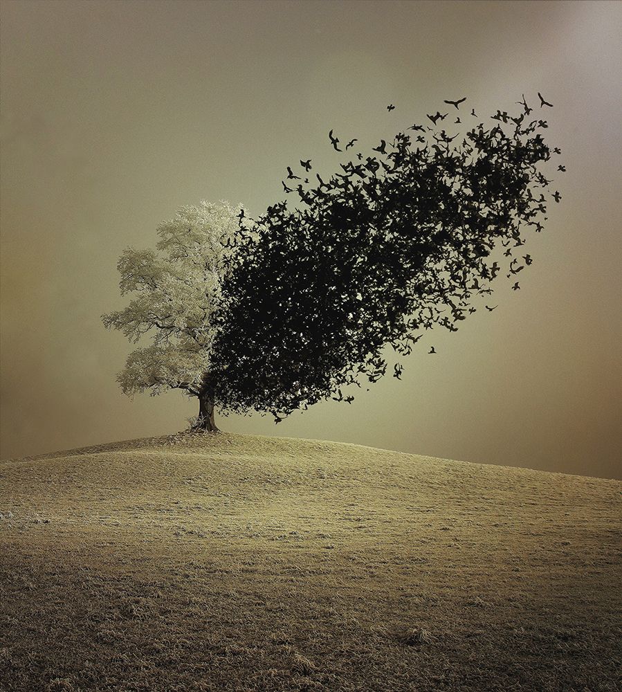 Last Hope art print by Radin Badrnia for $57.95 CAD