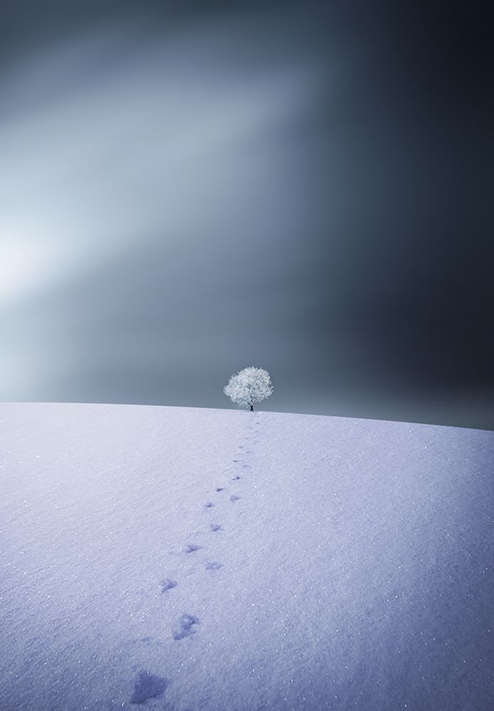 Winter art print by Bess Hamiti for $57.95 CAD