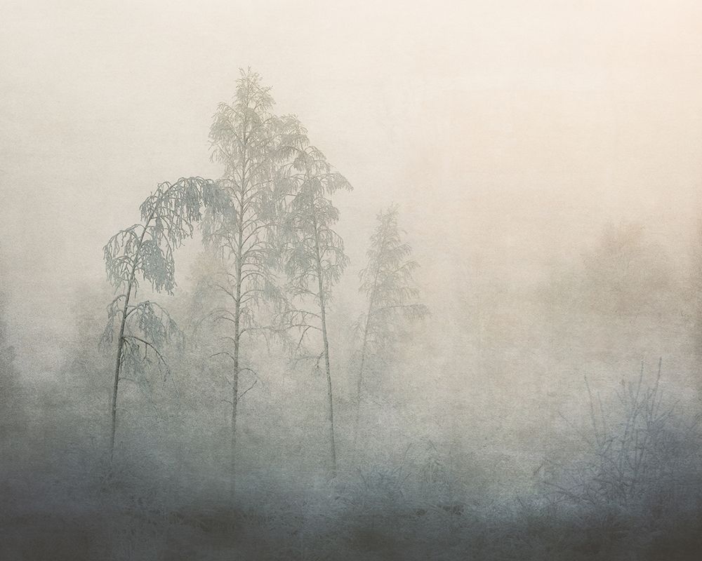 - 20 art print by Asmund Kvarnstrom for $57.95 CAD