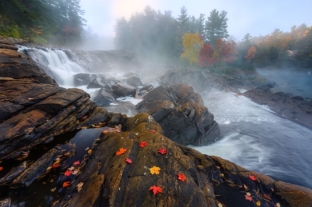 Autumn art print by Yi Jiang for $57.95 CAD