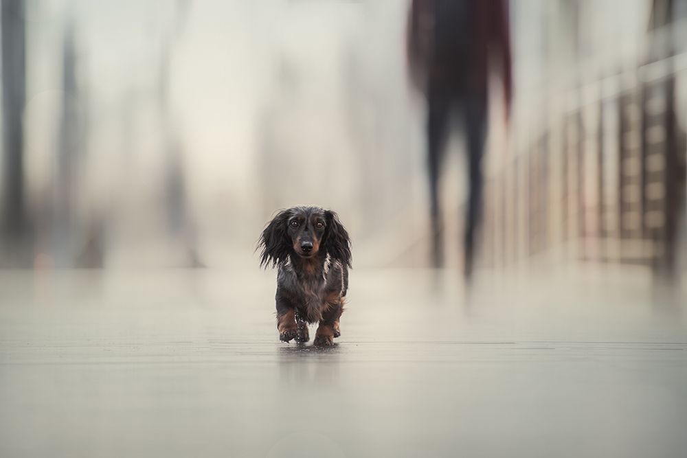 Going Home.... art print by Heike Willers for $57.95 CAD