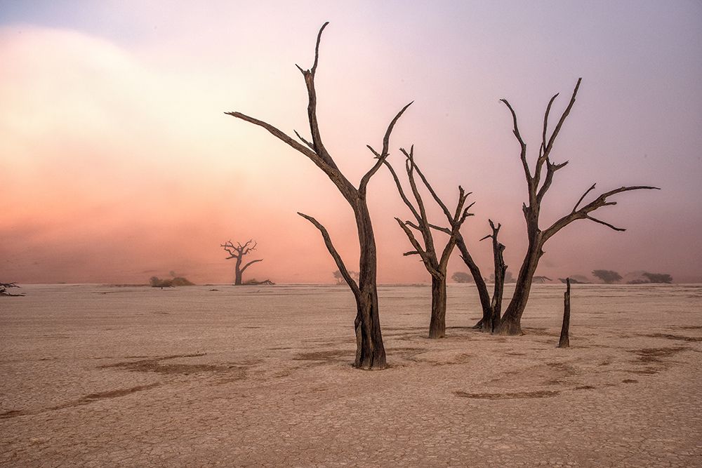 Fog In Deadvlei art print by Giuseppe Damico for $57.95 CAD
