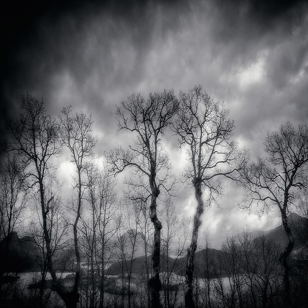 Last Days art print by Txules for $57.95 CAD