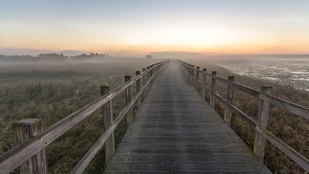 Morning Walk. art print by Leif Londal for $57.95 CAD