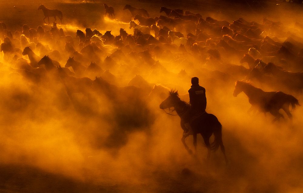 cowboy art print by Feyzullah Tunc for $57.95 CAD