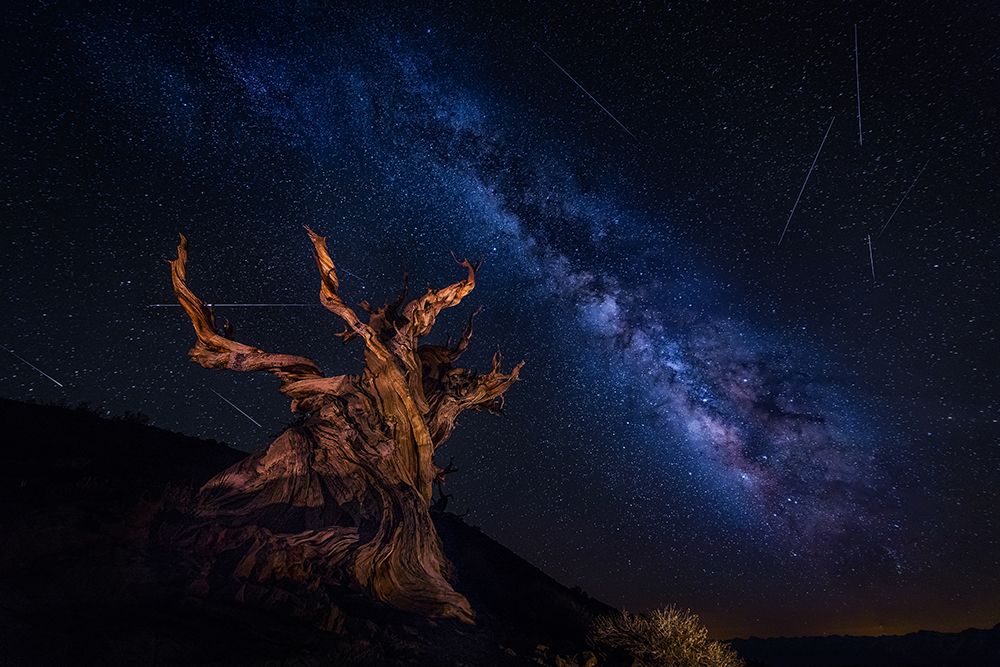 Shooting Stars Night art print by Michael Zheng for $57.95 CAD
