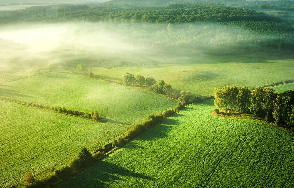Above The Mist art print by Keller for $57.95 CAD