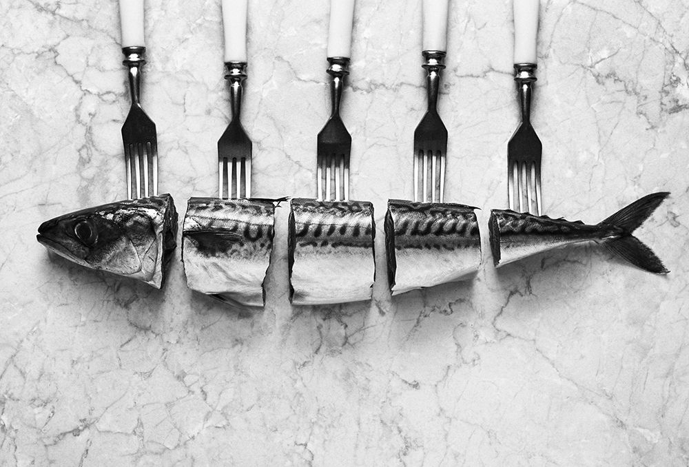 Mackerelaforks art print by Aleksandrova Karina for $57.95 CAD