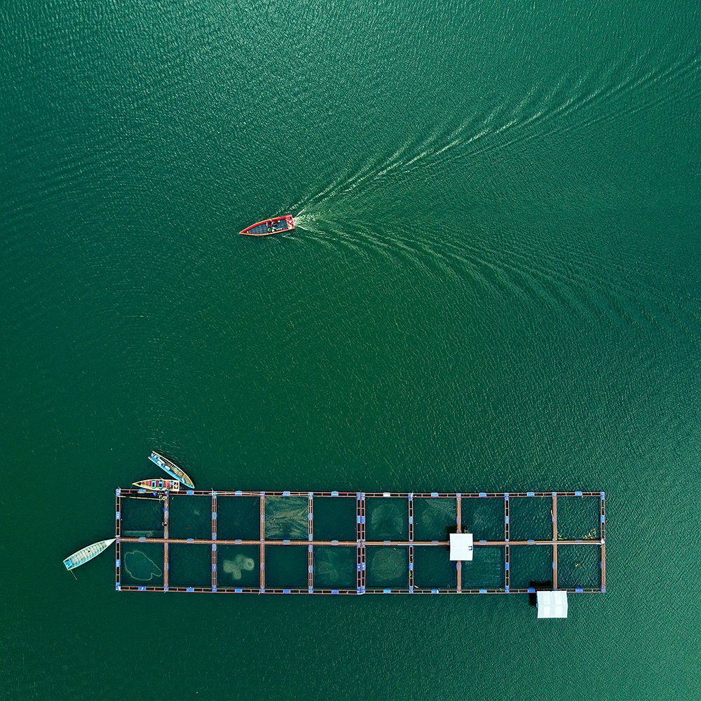 Sailing art print by Farid Yuwono for $57.95 CAD