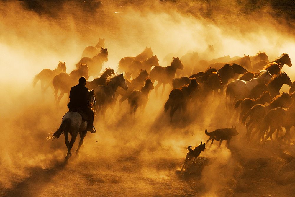 Cowboy art print by Feyzullah Tunc for $57.95 CAD