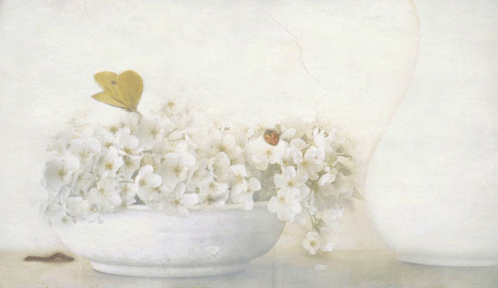 Summertime art print by Delphine Devos for $57.95 CAD