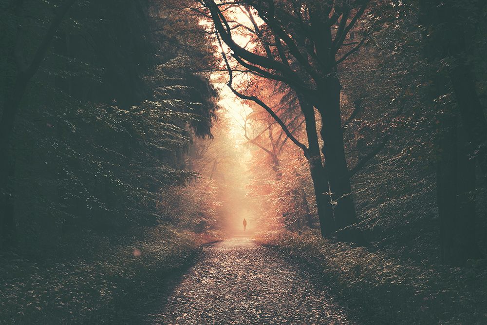 mysterious way art print by Alexander Schonberg for $57.95 CAD