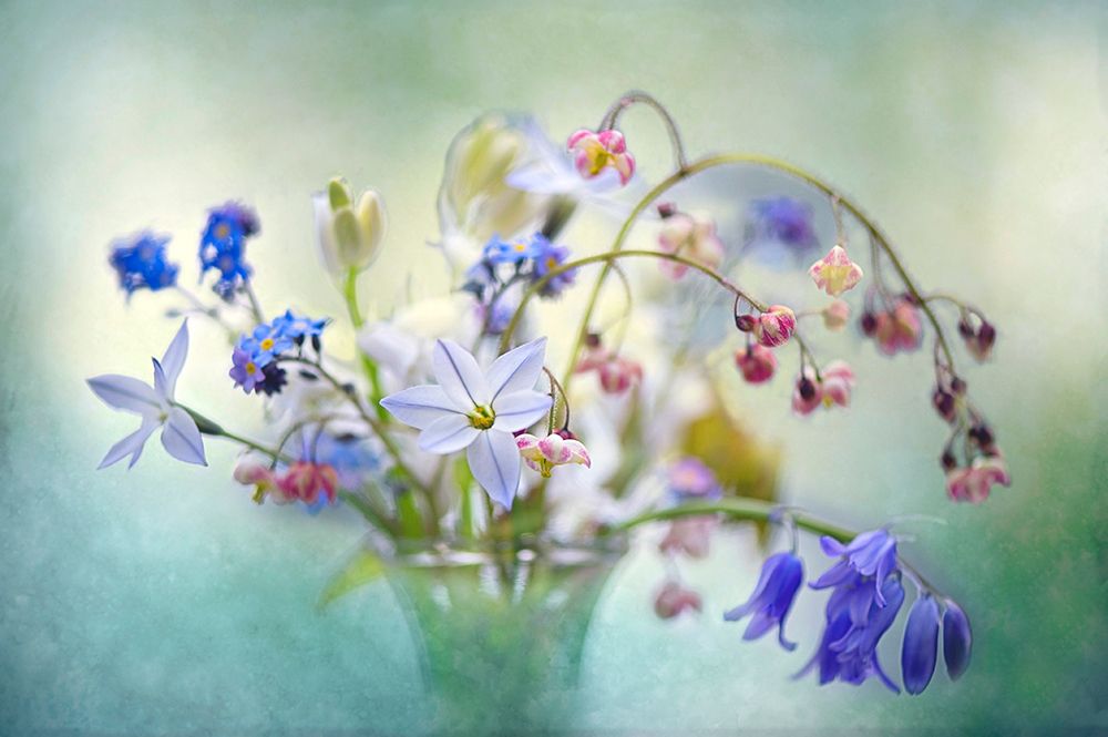 Spring Treasures art print by Jacky Parker for $57.95 CAD