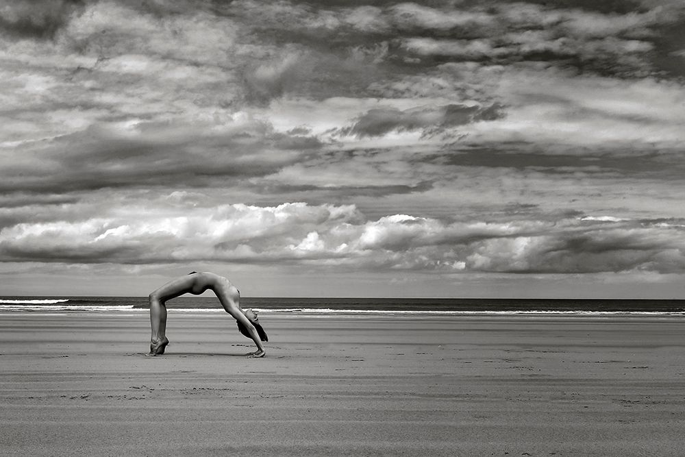 Roarie on the Beach art print by Hugh Wilkinson for $57.95 CAD