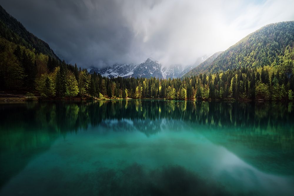 Menta. art print by Juan Pablo De for $57.95 CAD