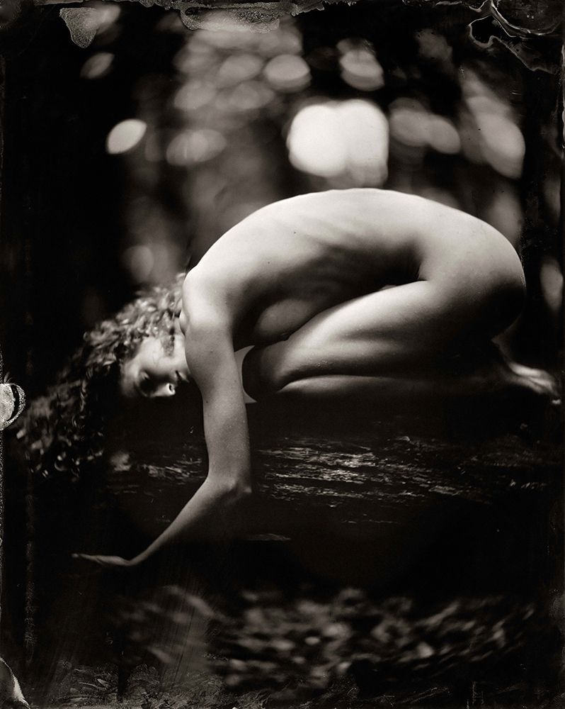 Fredau 2 art print by Peter van Hal for $57.95 CAD