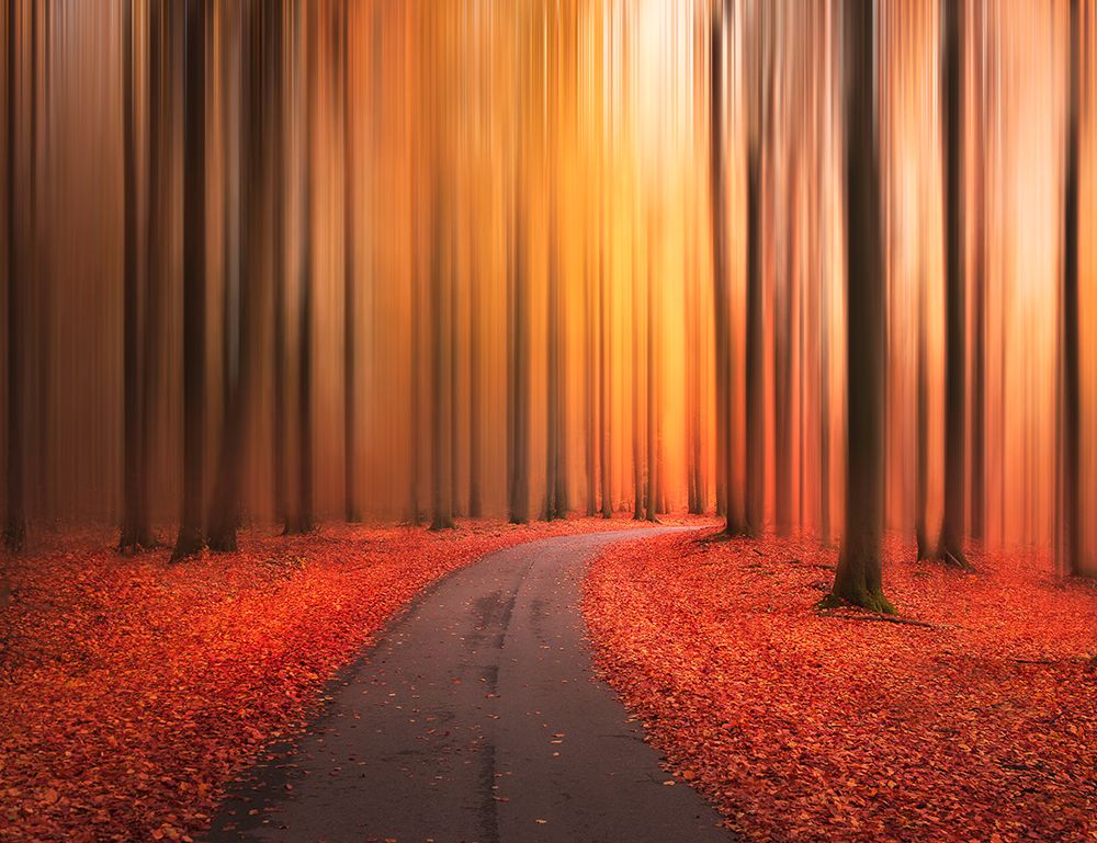 Path To Unknown art print by Christian Lindsten for $57.95 CAD