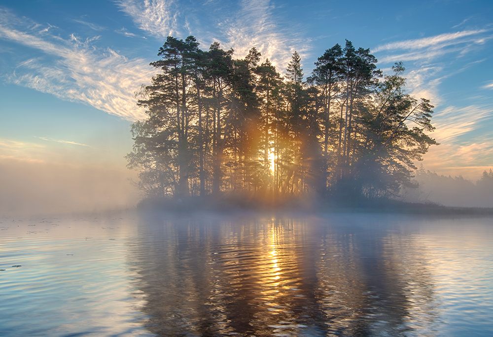 Morning Light art print by Keller for $57.95 CAD