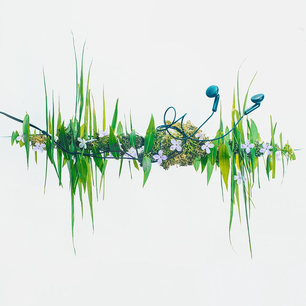 Music Of Nature art print by Dina Belenko for $57.95 CAD