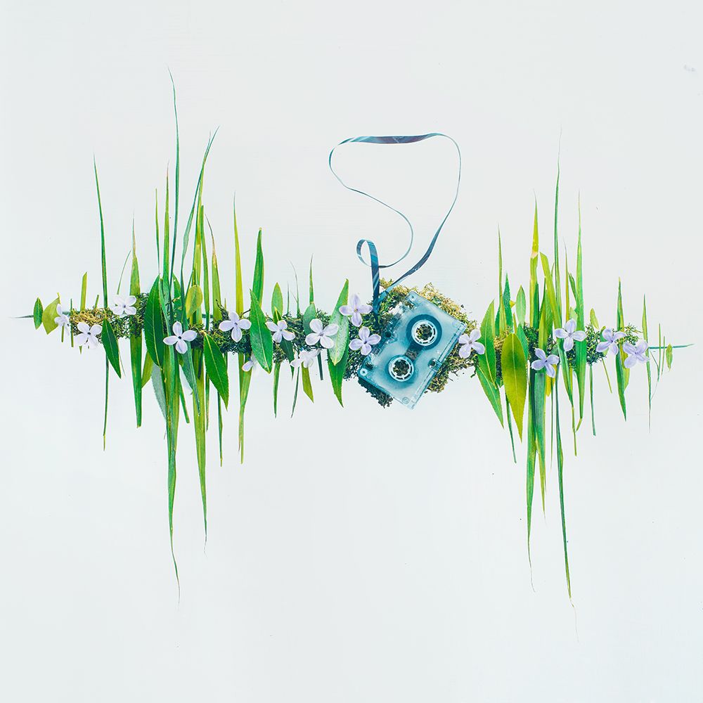 Summer Album art print by Dina Belenko for $57.95 CAD