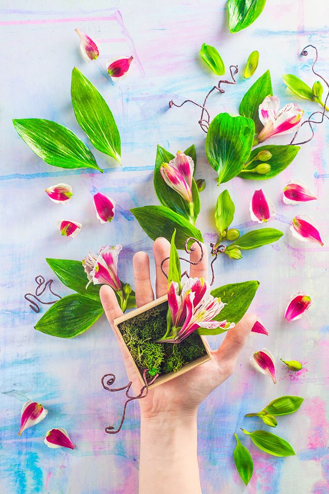 Hand Full Of Spring art print by Dina Belenko for $57.95 CAD