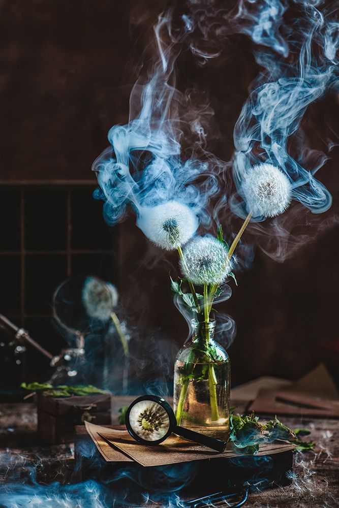 Smoakin Summer art print by Dina Belenko for $57.95 CAD