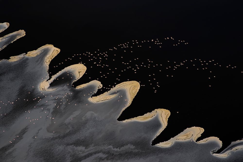 Flying Over The Lake art print by Phillip Chang for $57.95 CAD
